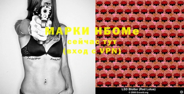 гидра Наволоки
