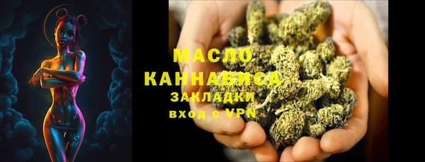 дживик Надым