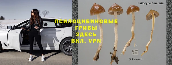 дживик Надым