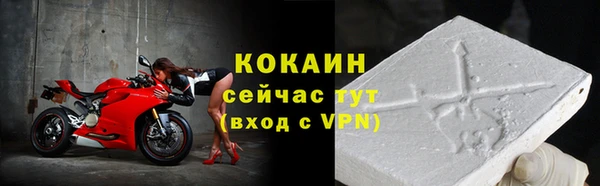 дживик Надым