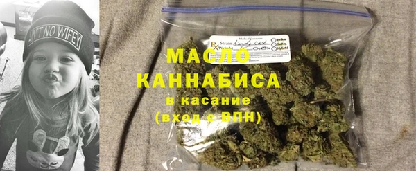 дживик Надым