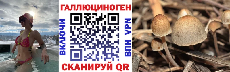 Псилоцибиновые грибы ЛСД  Среднеколымск 